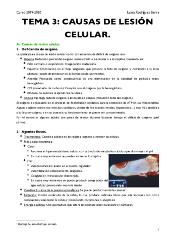 Tema-3.pdf
