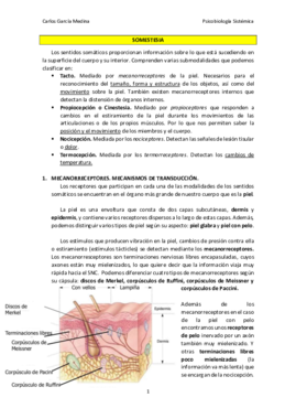 Somestesia.pdf