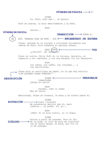 1-GUIONLITERARIO-FormatoconEjemplos.pdf