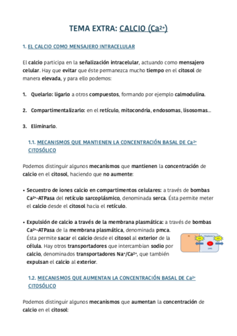 TEMA-EXTRA-CALCIO.pdf