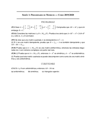 Miniatura del documento EnunciadosSesionesPrimerParcial-2019-2010.pdf