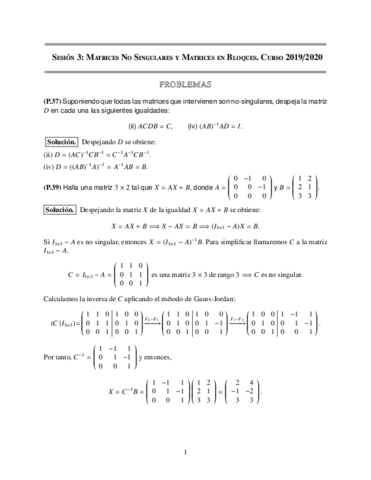 Miniatura del documento Sesion-3.pdf