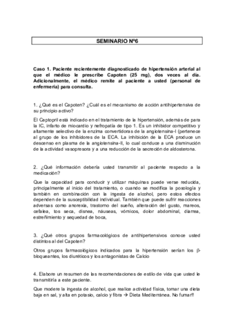 SEMINARIO-6.pdf