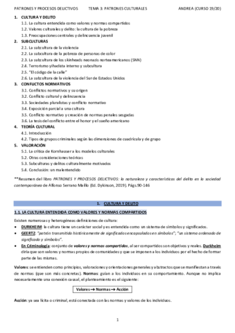 T3PATRONES-Y-PROCESOS-DELICTIVOSANDREA.pdf