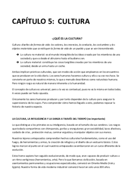 CAPÍTULO 5.pdf