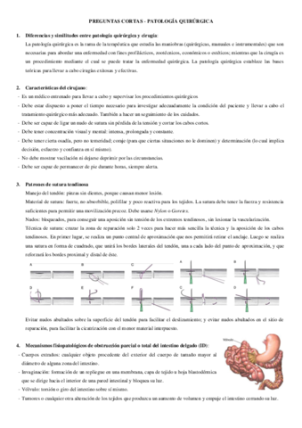 PREGUNTAS-CORTAS-PQ.pdf