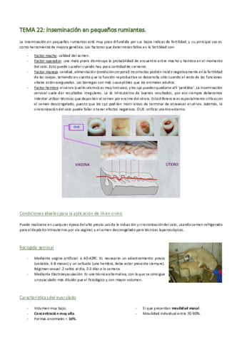 REPRODUCCION-22-final.pdf