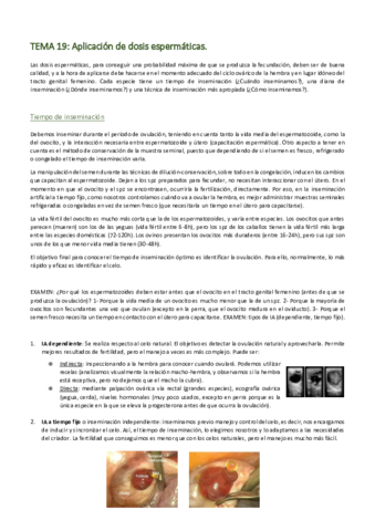 REPRODUCCION-19-21.pdf