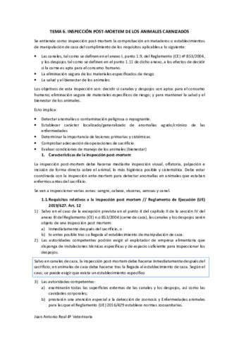 Tema-6.pdf