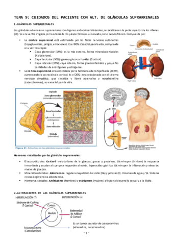 Tema-9-cuidados-del-paciente-con-alt-glandulas-suprarrenales.pdf