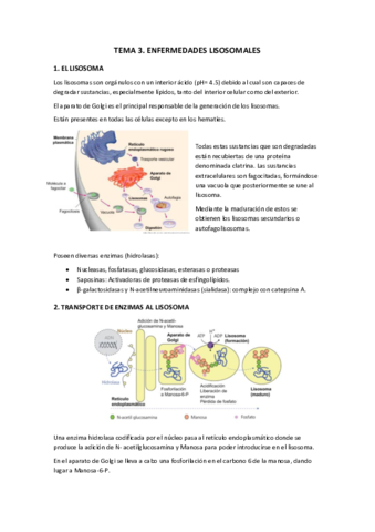 Miniatura del documento 3.pdf