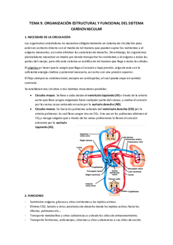 Miniatura del documento TEMA-9.pdf