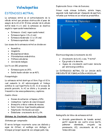 Guadalajara-19.pdf