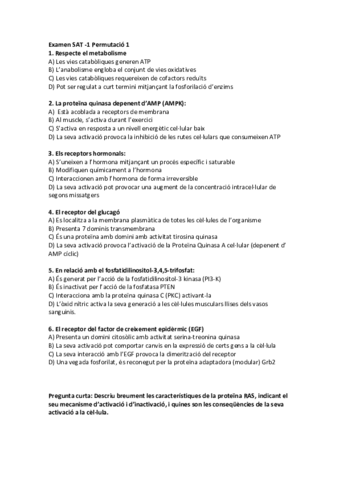 Copia-de-Examens-sats.pdf