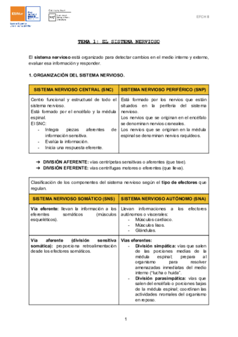 TEMA-1-EL-SISTEMA-NERVIOSO-1.pdf