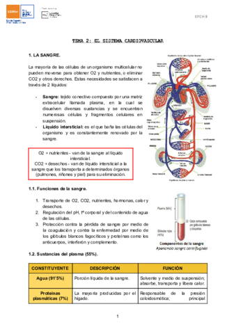 TEMA-2-EL-SISTEMA-CARDIOVASCULAR-1.pdf
