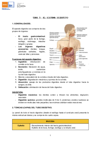 TEMA-5-EL-SISTEMA-DIGESTIVO-1.pdf