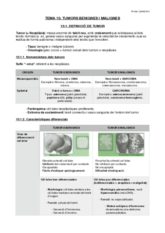 Apunts-Fisiologia-i-Fisiopatologia-II-Tema-10.pdf