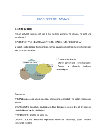 APUNTS-VANESA.pdf