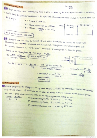 Cuestionario-tema-2-y-actividades-diferenciacion-magmatica-resueltos.pdf