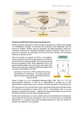 BLOC-I-ESTRES-2.pdf