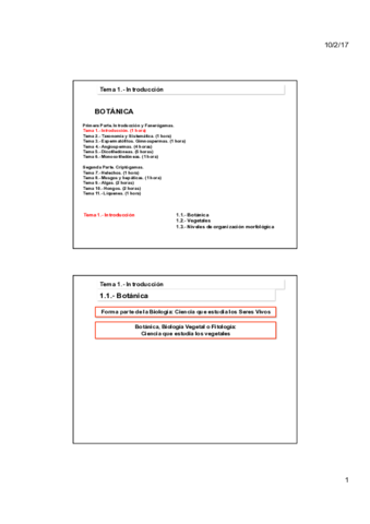 Tema-1-Introduccion.pdf