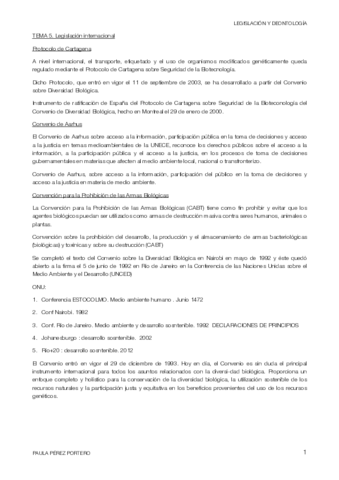 TEMA-5-.pdf