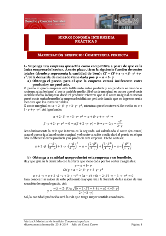 MicroIntPractica5Competencia-perfectasolucion2018.pdf