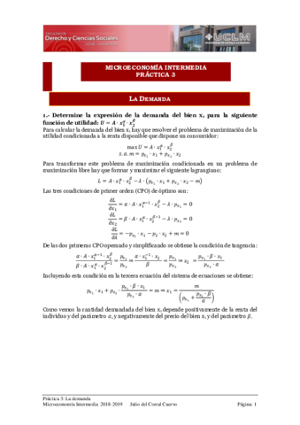 MicroIntPractica3Demandasolucion2018.pdf