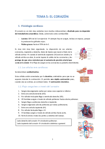 TEMA-5-EL-CORAZON.pdf