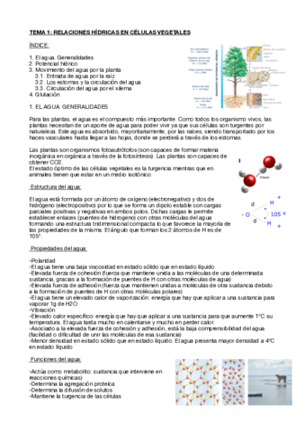 Fisiologia-vegetal-tema-1.pdf