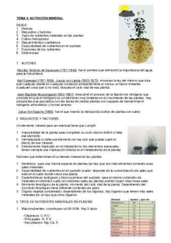 Fisiologia-vegetal-tema-3.pdf