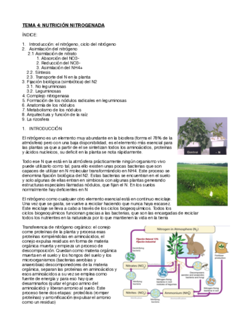 Fisiologia-vegetal-tema-4.pdf