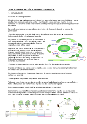 Fisiologia-vegetal-tema-5.pdf