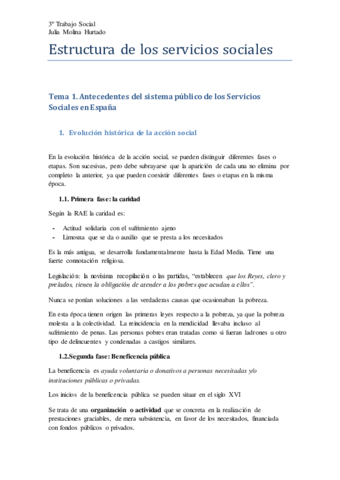 Estructura-de-los-servicios-sociales.pdf