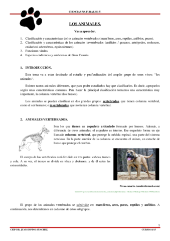 T-2-LOS-ANIMALES.pdf