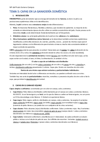 TEMA-5-y-6.pdf
