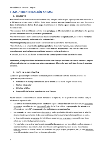 TEMA-7.pdf