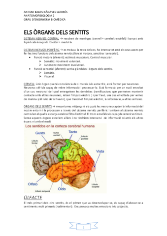 ANATOMOFISIOLOGIA-2.pdf