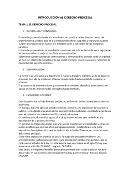 INTRODUCCION DERECHO PROCESAL.pdf