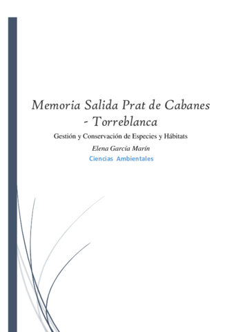 MEMORIA SALIDA.pdf