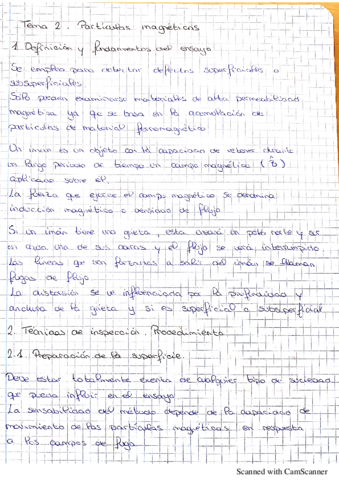 Particulas-Magneticas.pdf