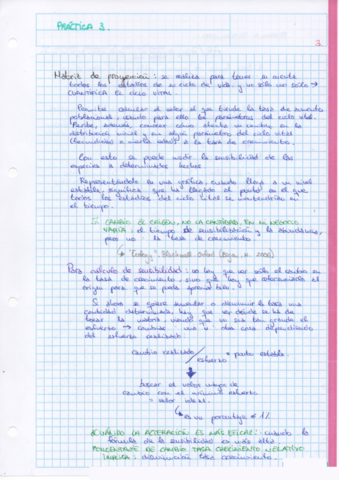 Miniatura del documento INFORMTICA_03_GCEH.pdf