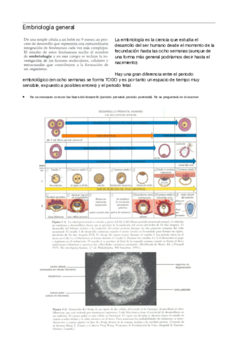 Embriologia.pdf