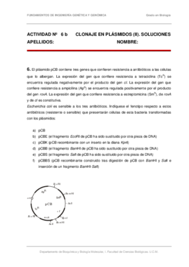 Ejercicios 6b.pdf