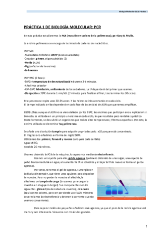 PRACTICA-1-DE-BIOLOGIA-MOLECULAR-PCR.pdf