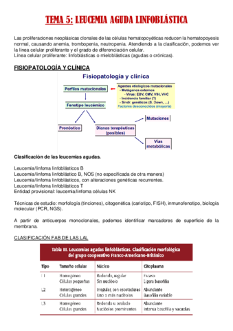tema-5-.pdf