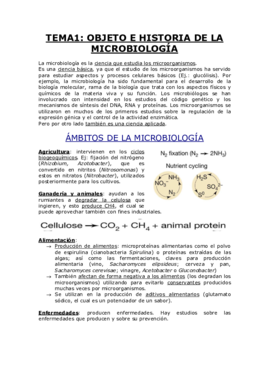 TEMA 1.pdf
