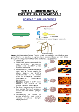 TEMA 2.pdf