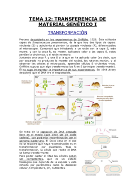 TEMA 12.pdf